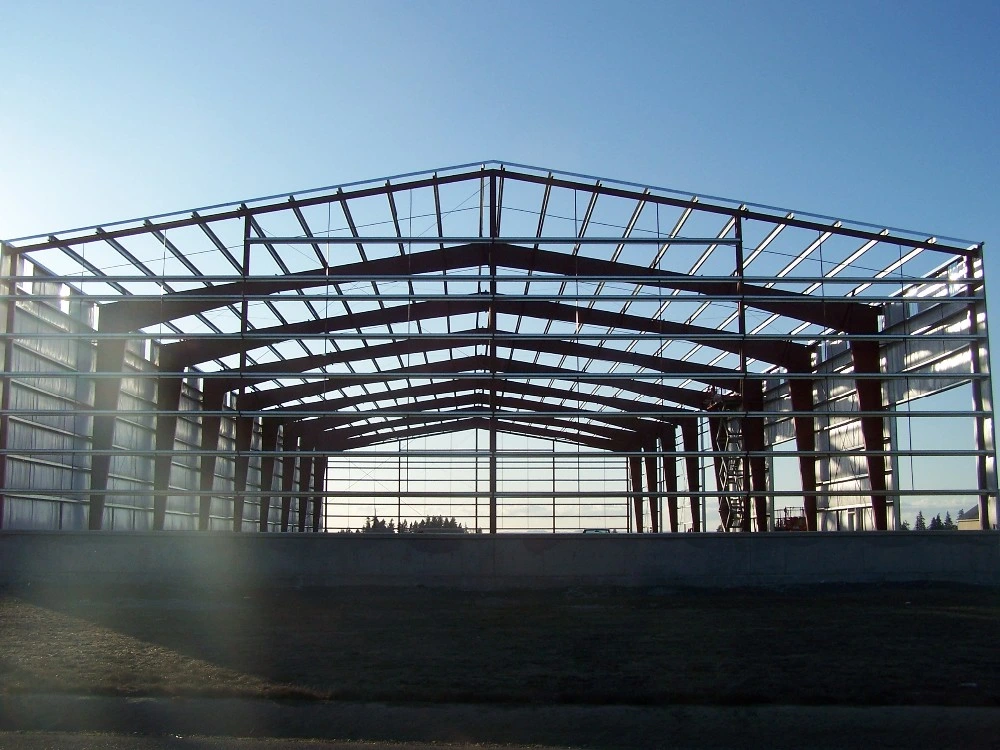 Steel Structure Warehouse Hangar Workshop Building Light Steel Structure