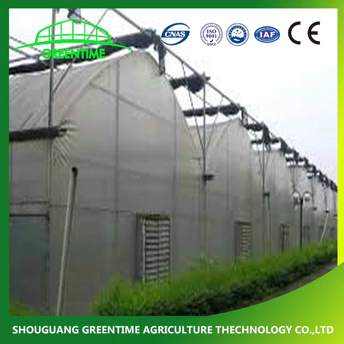 Hot Sale Multi-Span PE/PE Plastic Film Agricultural Greenhouse for Tomato/ Lettuce Planting