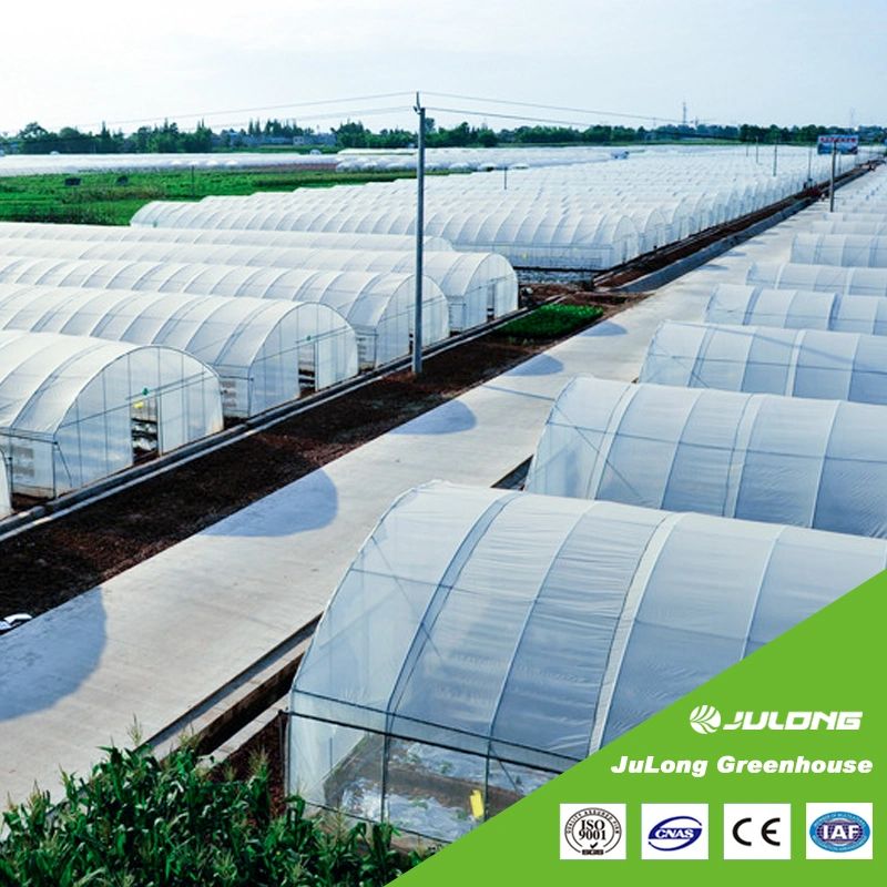 Tunnel unique agricole Span du film plastique serre avec l'Irrigation et système de culture hydroponique