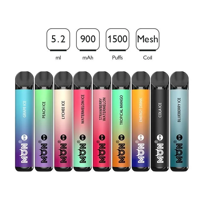 Long Lasting 1500puffs Disposable/Chargeable Vape Pen Disposable/Chargeable E Cigarette with Pre-Filled Fruit Flavors Atomizer