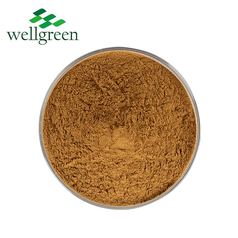 Abnehmen Gewichtsverlust Mango Seed Protein 7% African Mango Seed Extrahieren