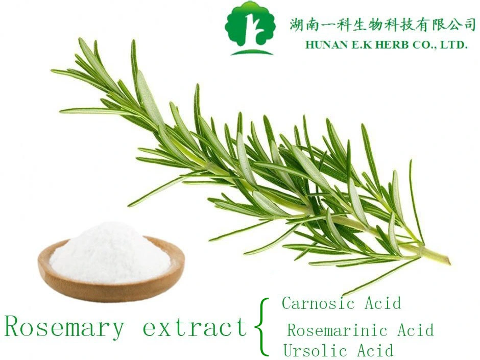 E. K Herb Factory Price Wholesale100% Natural Plant Extract Anti-Hepatitis & Skin Care Whitening & Moisturizing Ursolic Acid5%-98% Loquat Leaf Rosemary Extract