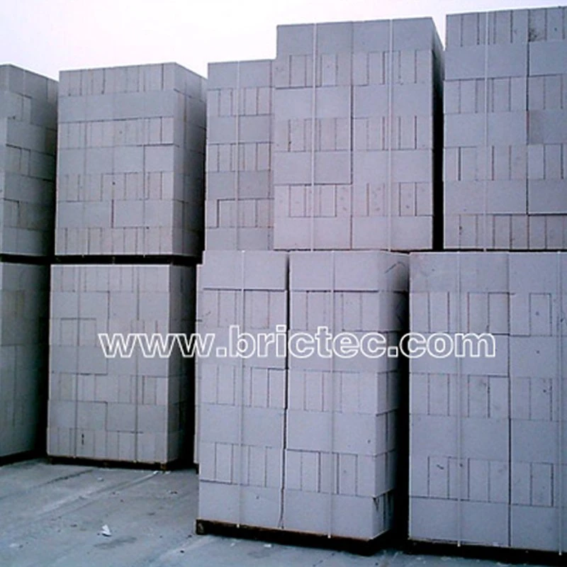 Autoclaved Aerated Concrete AAC Lightweight Brick Manufacturing Equipment