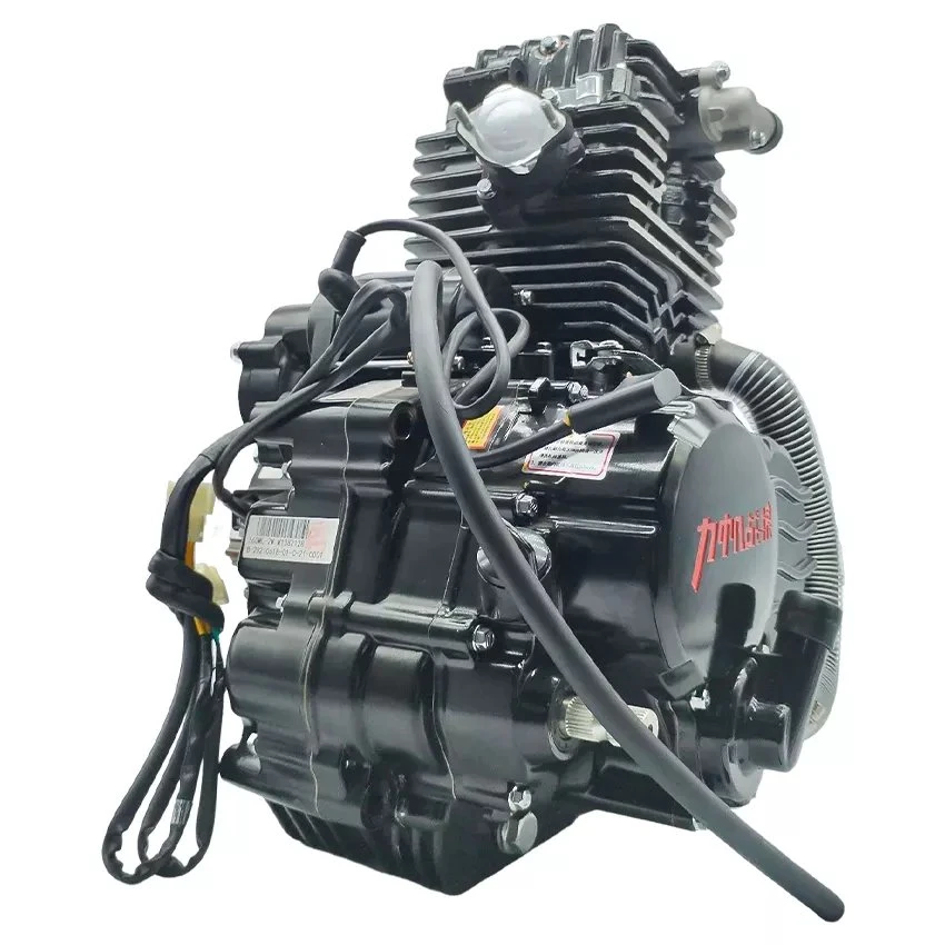 Para Bajaj Motorcycle 4-Stroke Water-Cooling Engine Parts Lifan Wolf 300cc Motor