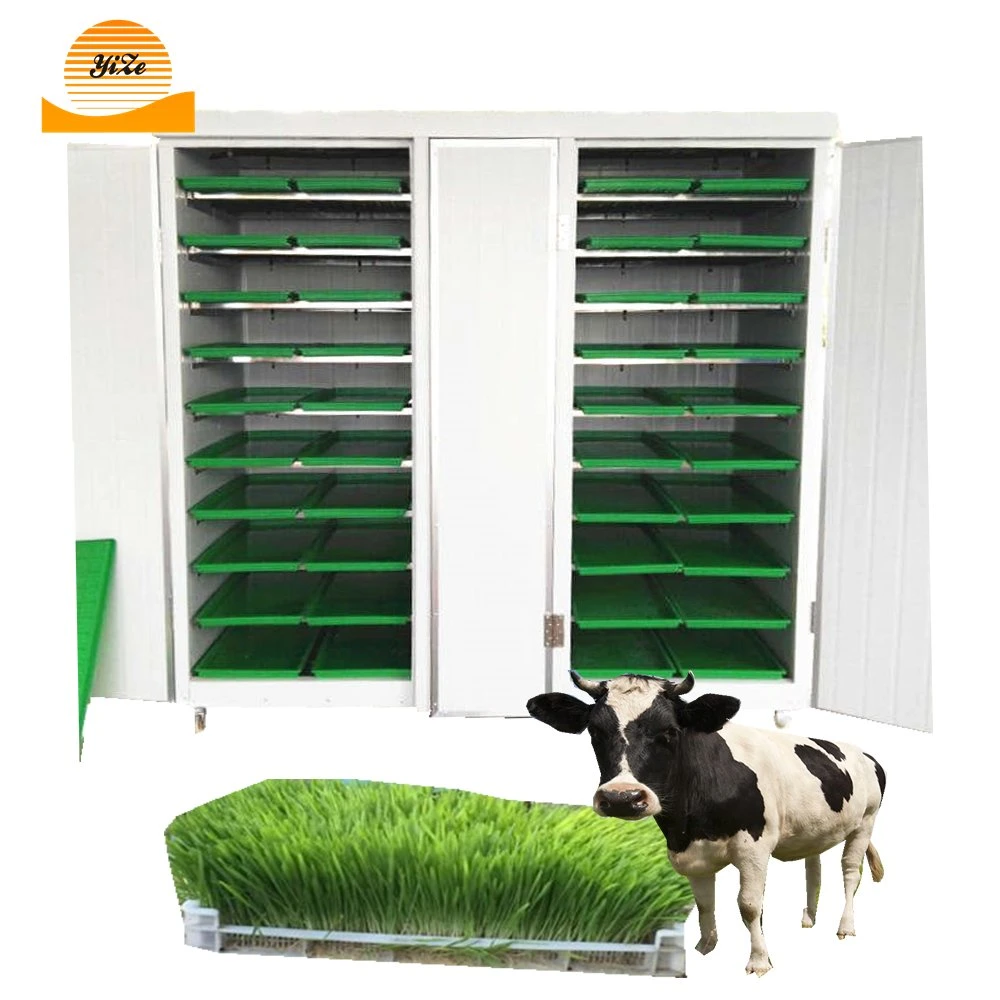 Commercial Hydroponic Wheatgrass Machine Bean Sprout Making Machine Animal Eat Bean Sprouts Growing Machine