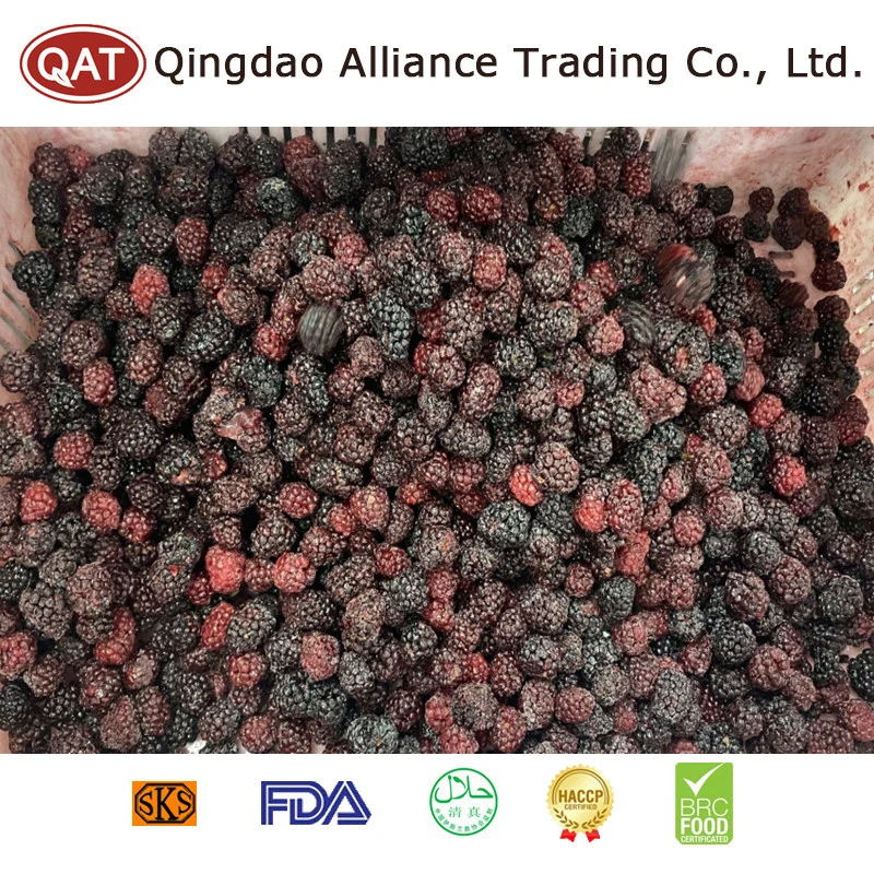 Natural Dulce Silvestre IQF Frutas congeladas BlackBerry para exportar con FDA