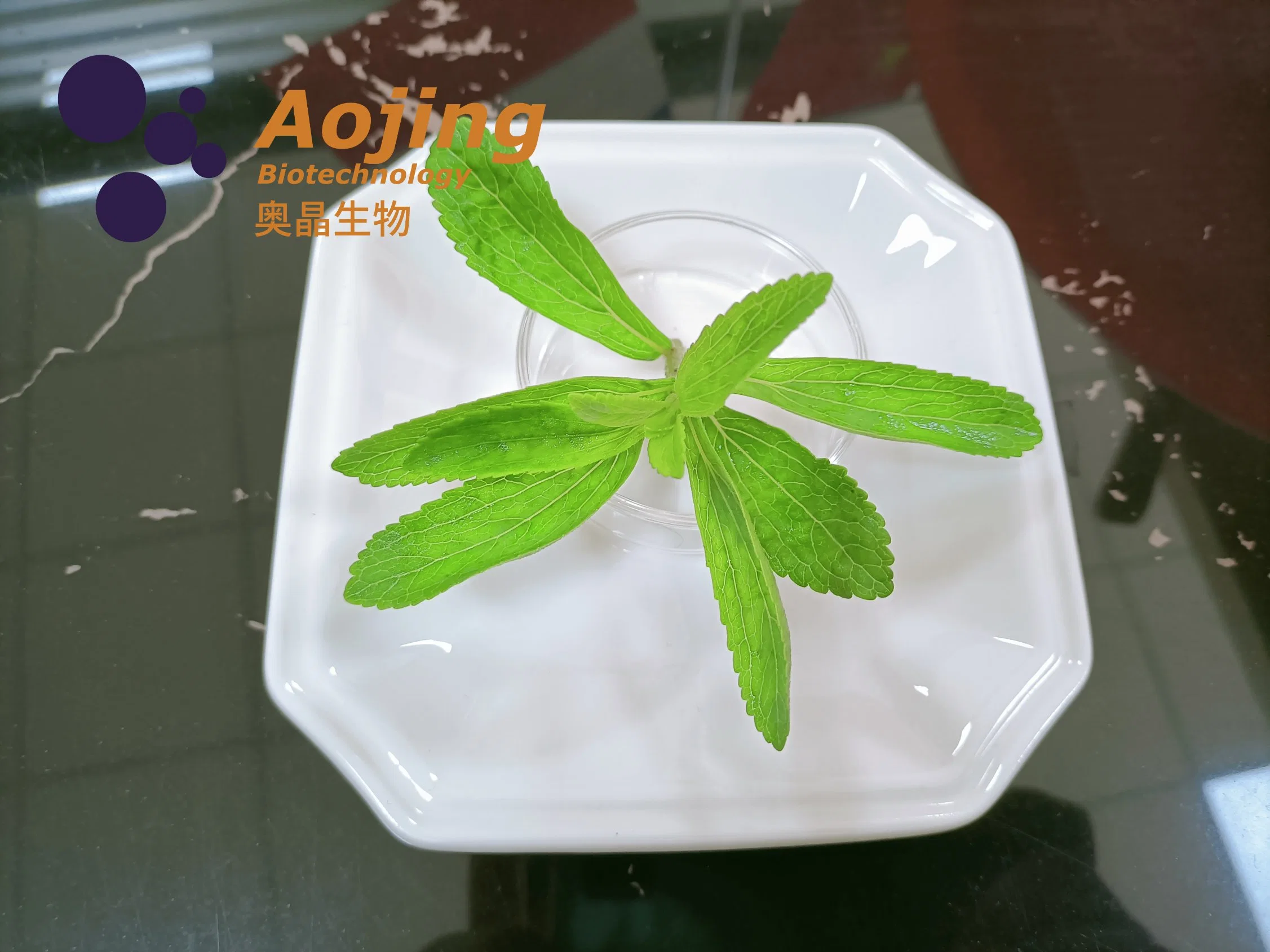 Steviol Glycosides Stevia Extracted From Leaves (E960A)