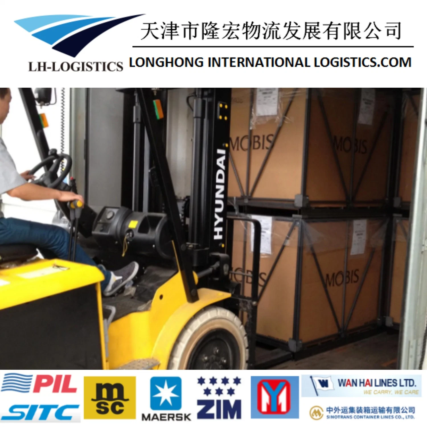 Competitive Shipping Agent From Ningbo, China to Argentina/Barbuda/Bahamas/Paraguay/Panama/Brazil/Bermuda 1688