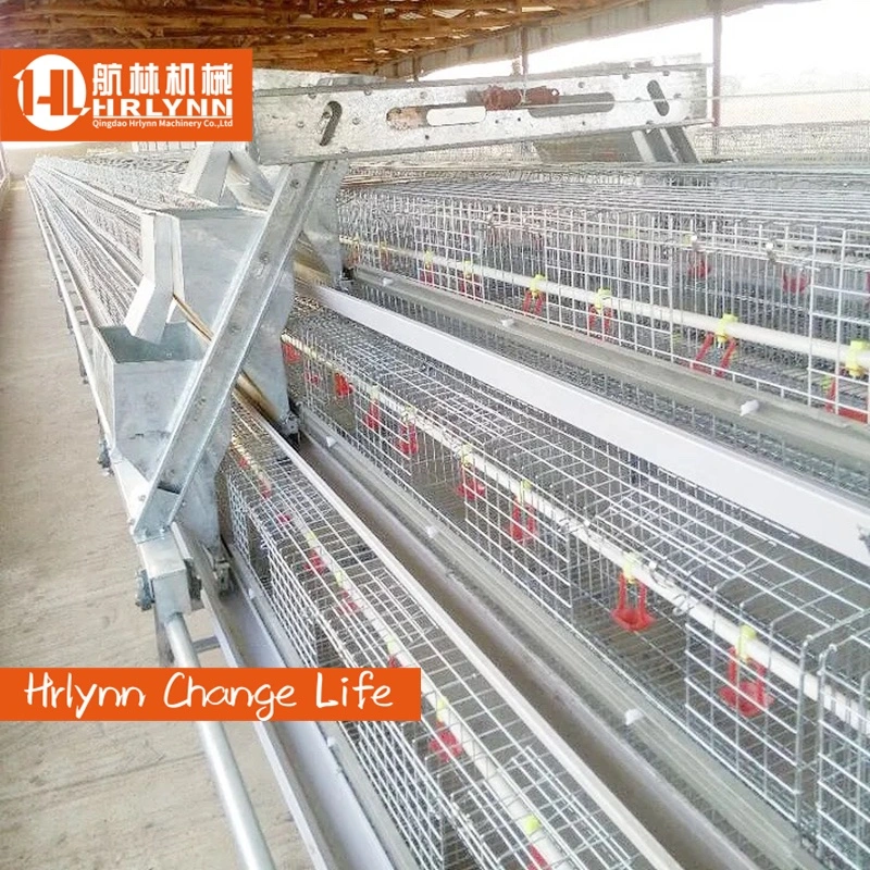 Chinas Top-Lieferant von Schichten Chicken Battery Cage