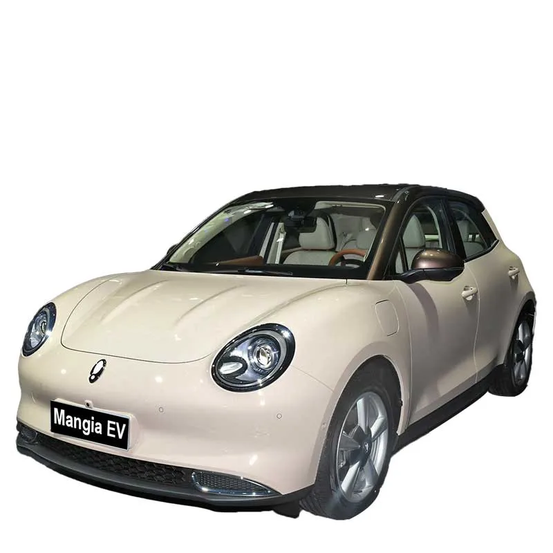 Cute und Compact New Energy Electric Car Ora gute EV Wiederaufladbare High-Quality New Electric Car