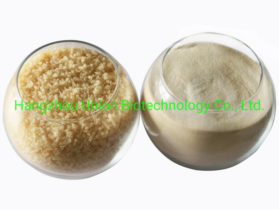 Food Ingredient Edible Gelatin Skin or Bone with Kosher CAS 9000-70-8