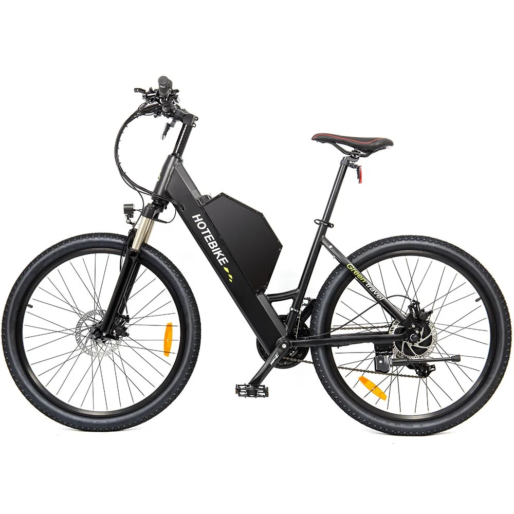 750W High Power Electric Mountain Lithium Power Bicycle with 48V Removable Battery