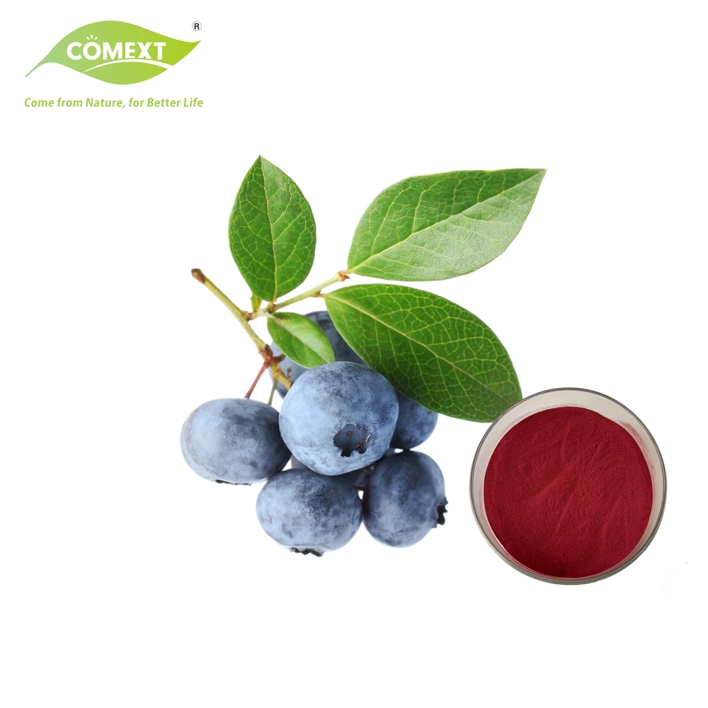 Comext 10: 1 Purple Red Bilberry Fruit Concentrate Juice Powder