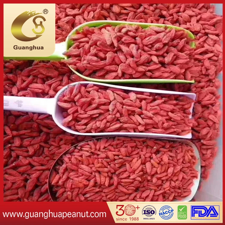 Grade AAA Best Quality Dried Goji Berries New Crop