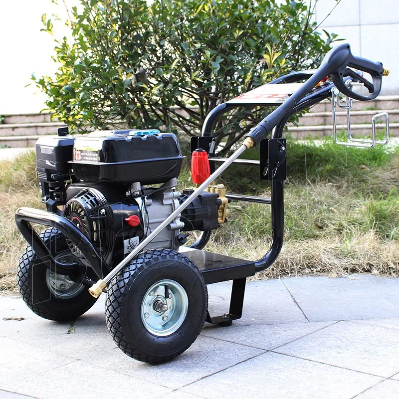 Bison (China) 2900psi 200bar 1 Year Warrantys Mall MOQ Fast Delivery Best Gas Pressure Washer