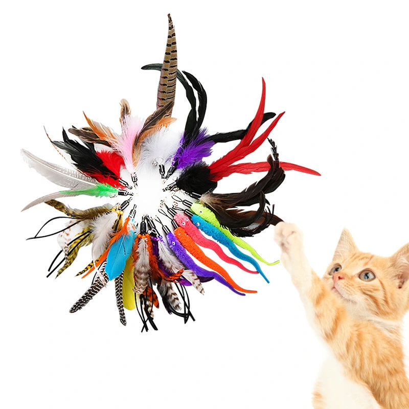 Cat Teaser jouet d'autres poissons de cuir papillon Souris Rat Cat Claw Jouets