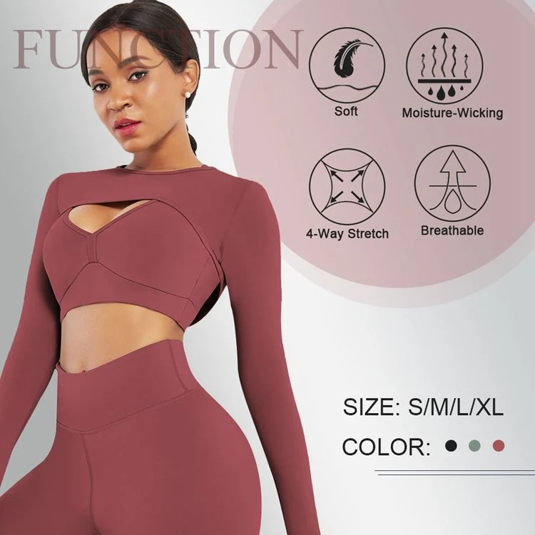 OEM/ Custom Logo New Listing 3 Plain Color Quick Drying Yoga Set Two Piece Set Ladies Tracksuits Yoga Set Suit