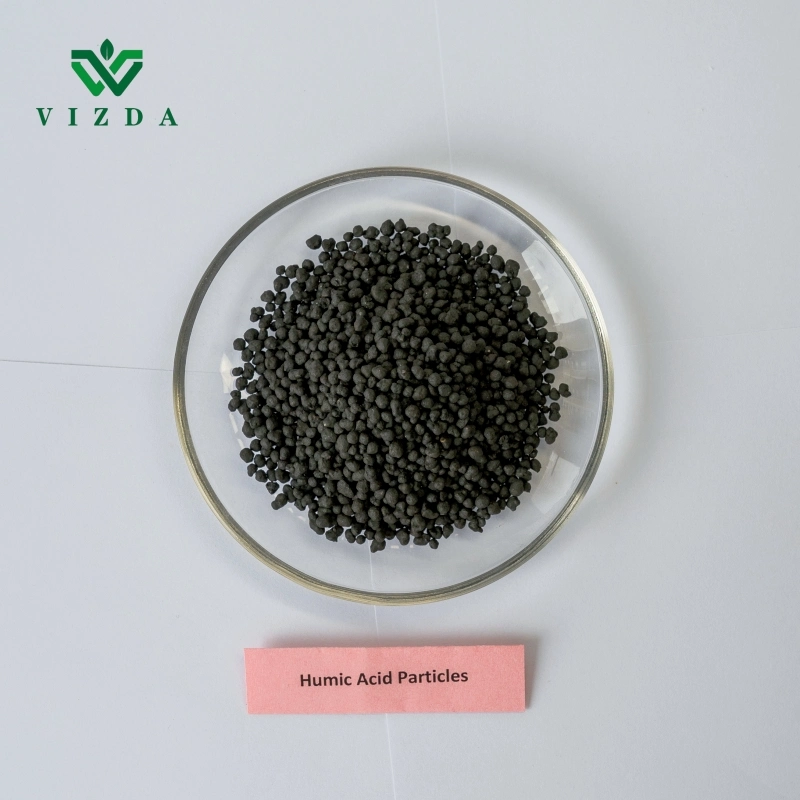 الأسمدة الحمضية الصلبة الممتازة Humic Acid Fertilzer