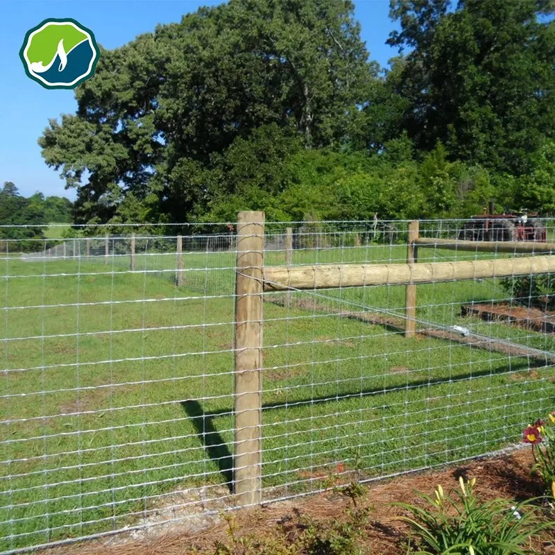 Hot DIP Galvanized Farm Fence Garden/Deer/Field/Animal/Horse/Fence Wire Mesh