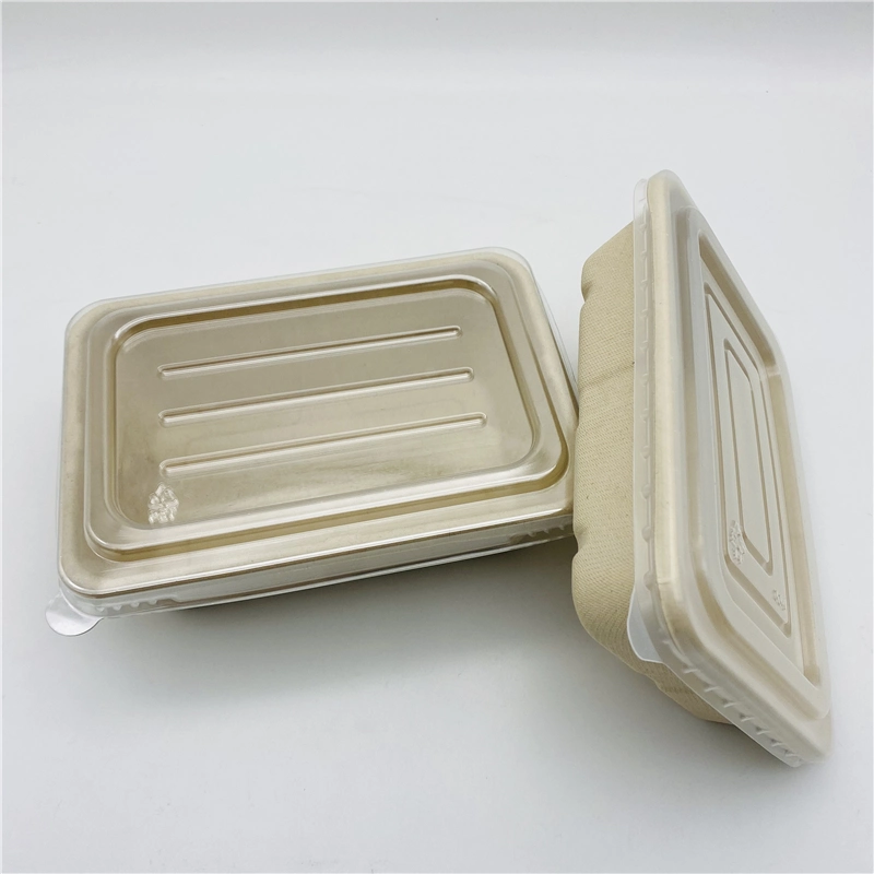 Caña de Azúcar biodegradables Clamshell Caja de comida para pasar el recipiente con tapa de bagazo /tapa de PP/PET tapa