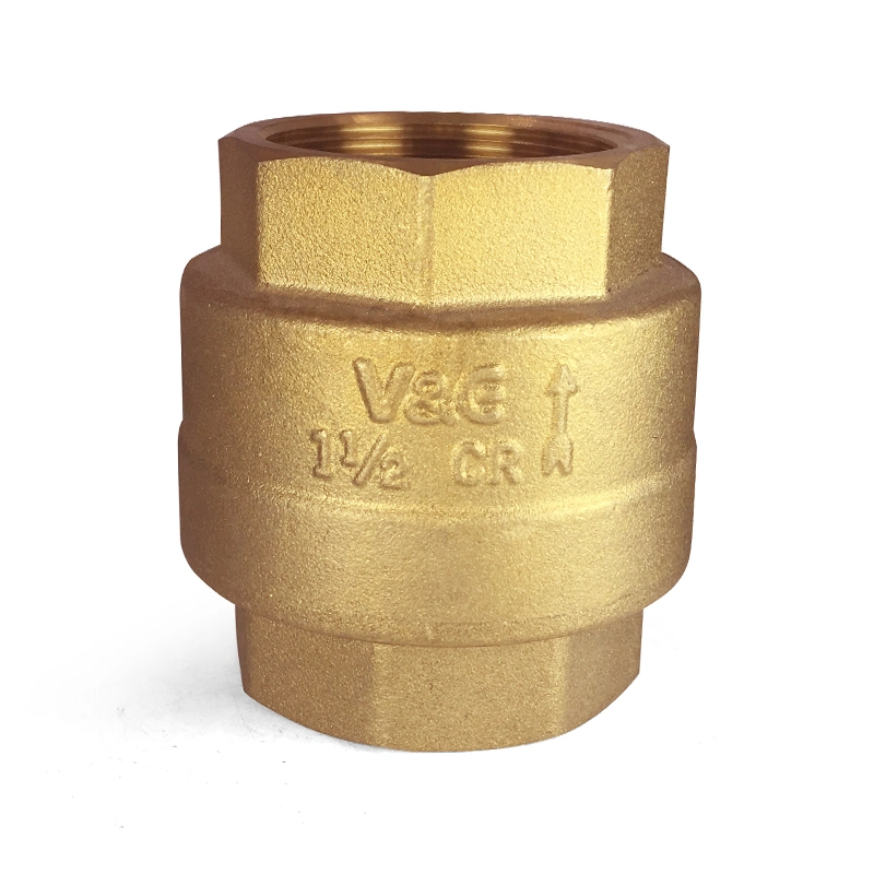 Válvula de retenção da mola em latão inoxidável (VG12.90081)