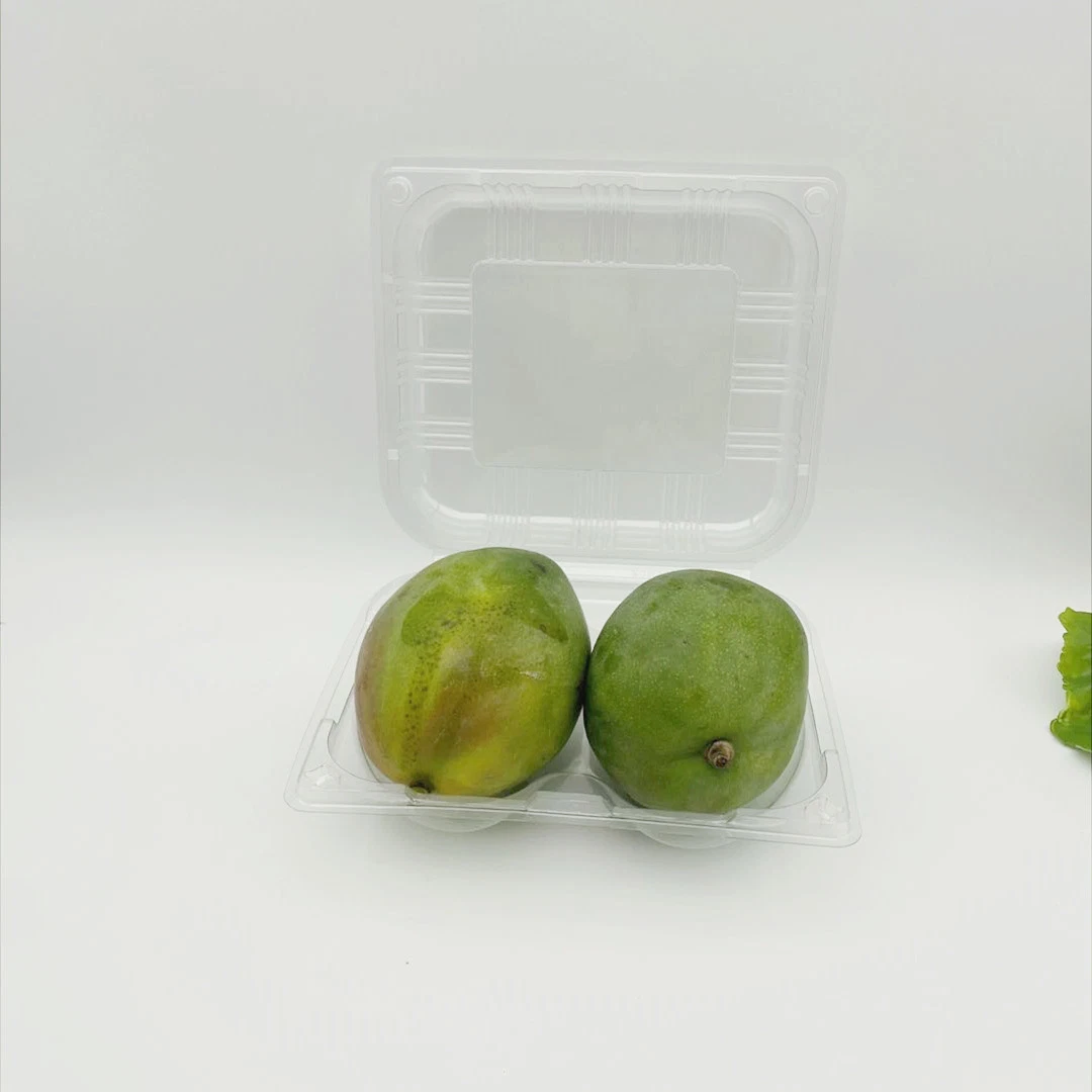 Wholesale/Supplier Plastic Vacuum Formed Fruit Packaging Box