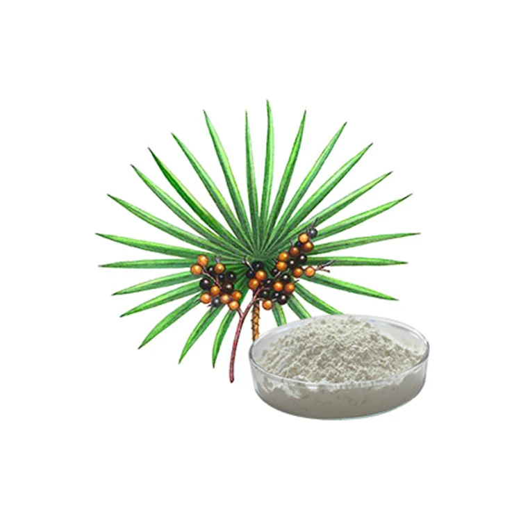 Suppléments pour hommes a vu Palmetto perte de cheveux a vu Palmetto scie Extrait de Palmetto