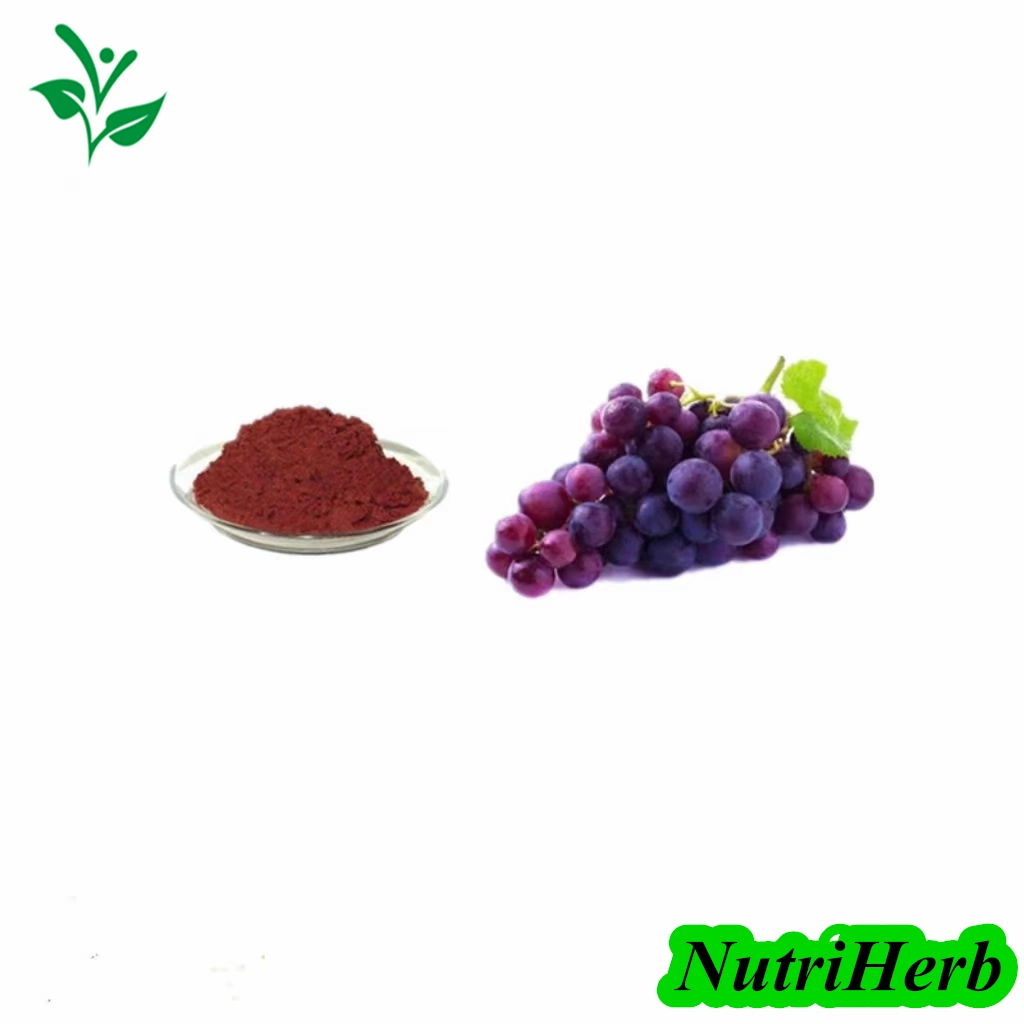 Alimento Natural pigmento Extracto de la piel de la uva Rojo Color de la piel