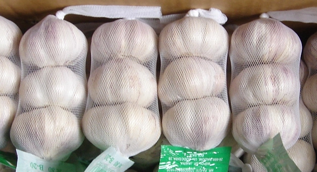 Chinese Garlic /Bulk Packing /Small Packing Normal White Garlic