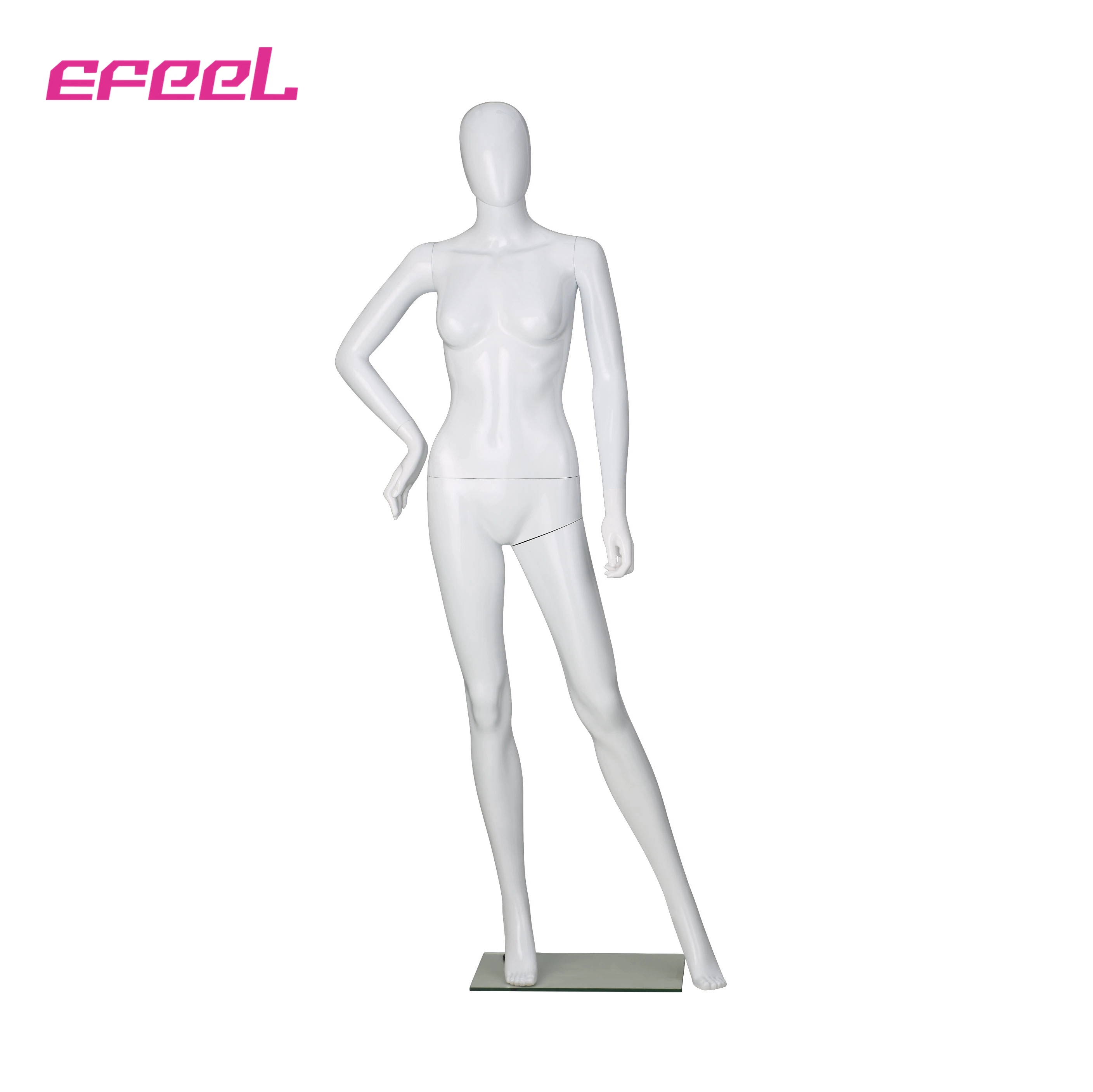 Female Male Dummy Mannequins Bust Leg Upper Mannequins