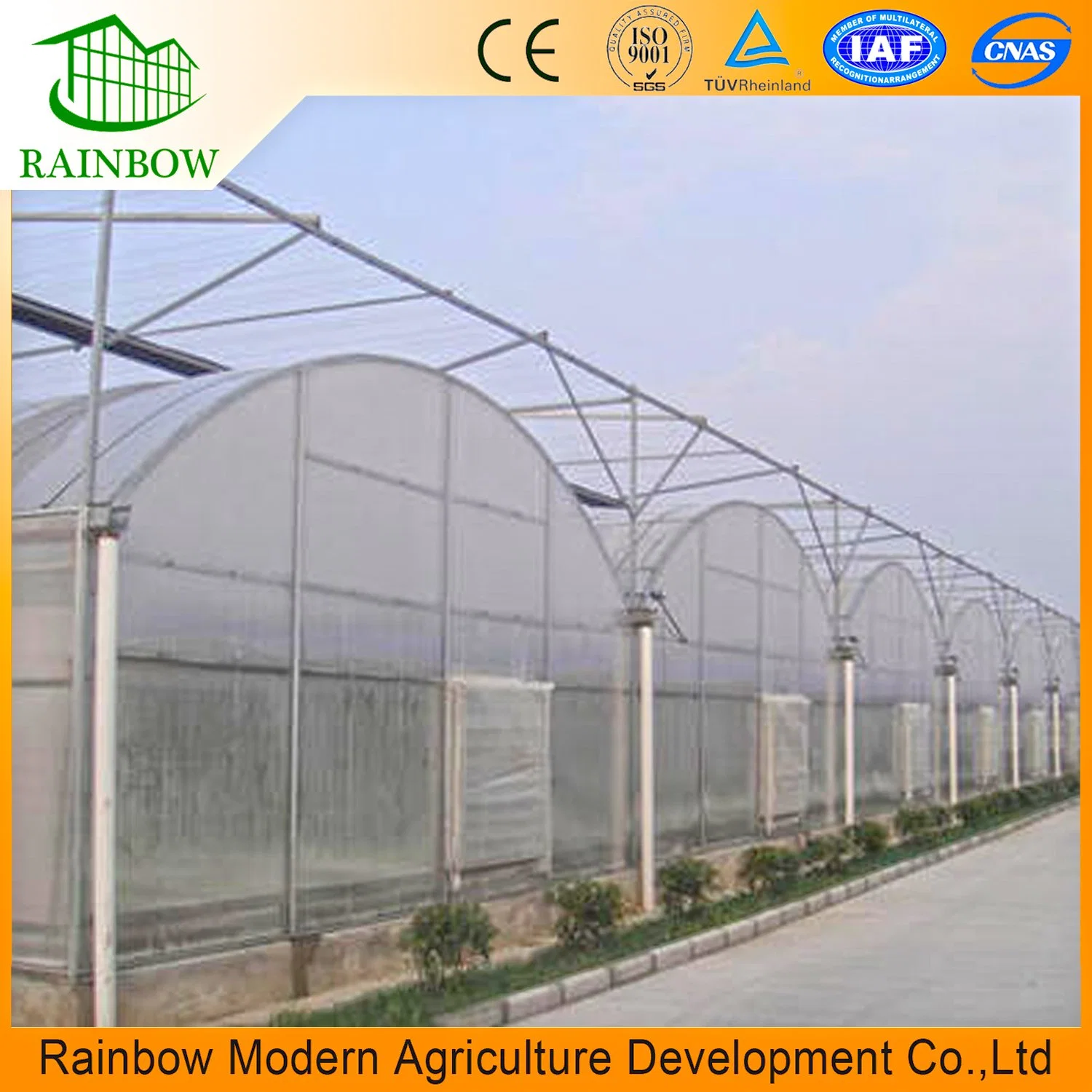 Film Covered Tunnel Multi Span Greenhouse with Hydroponics System