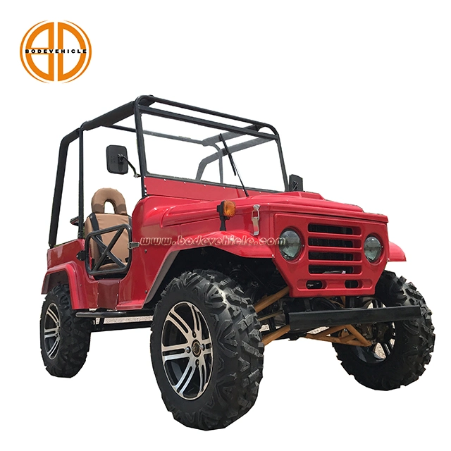 China Cheap Gasoline Powered Mini Jeep with Two Luxury Seat (MC-432)