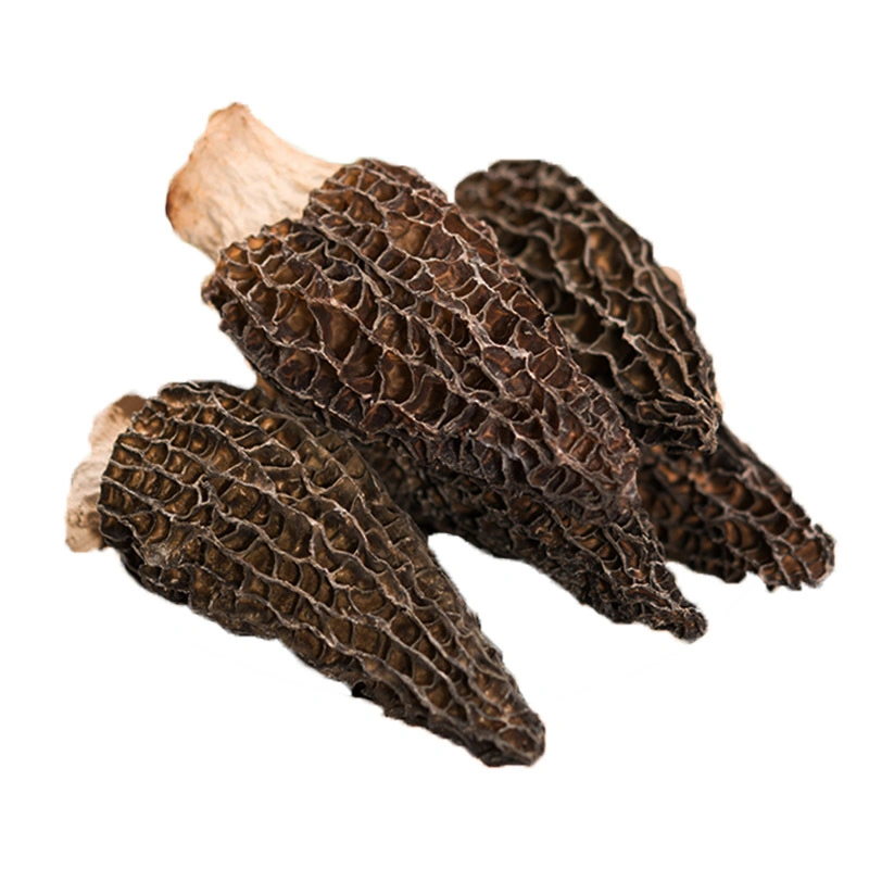 Yang Du Jun Organic Natural Wholesale Health Food Products Wild Black Morel Mushroom