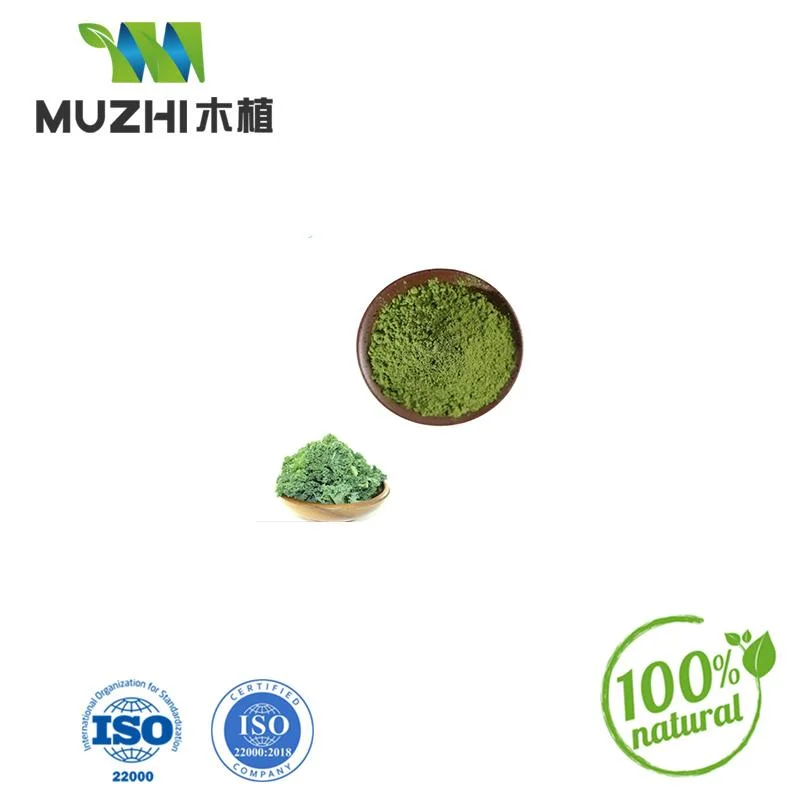 High quality/High cost performance Broccoli Sprout Extract Organic Sulforaphane Broccoli Sprout