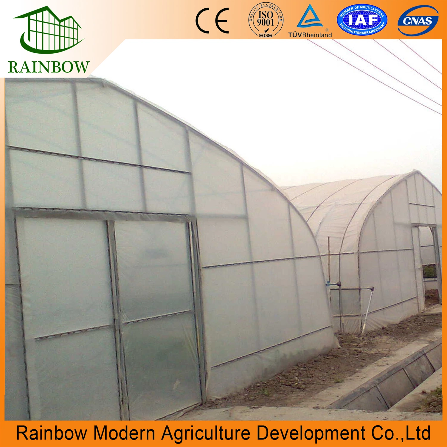 Strawberry Single Span Film Agriculture Greenhouse