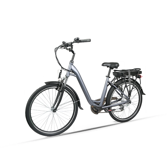 OEM Bike 250W Brushless Rear Hub Motor Electric Bicycle