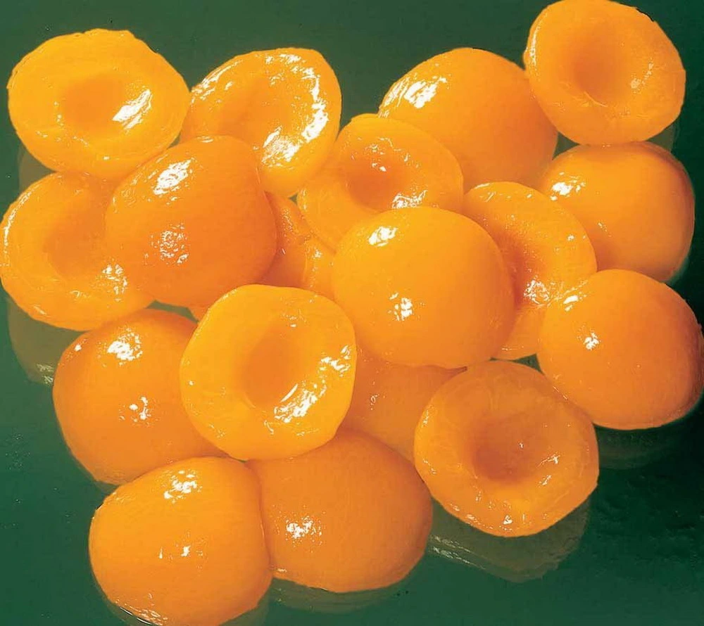 Abricots en conserve de fruits de la Chine de qualité supérieure