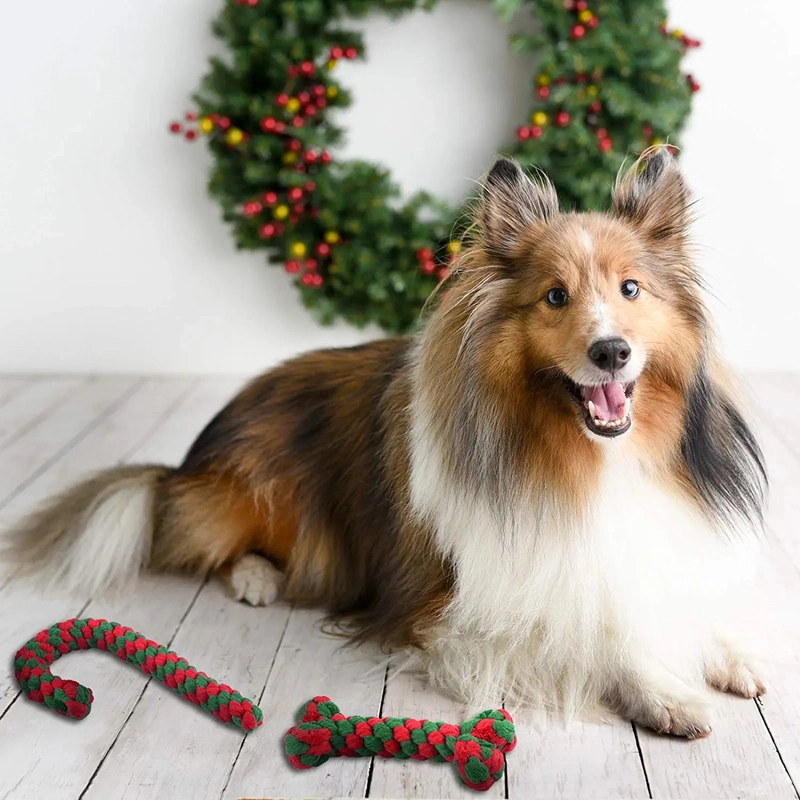 Brinquedos para cães para mascotes do Cãozinho do Cãozinho Brinquedos de corda