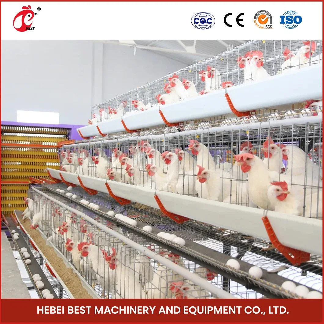 Bestchickencage China a Frame Chicken Layer Coop Factory OEM Custom Poultry Layer Chicken Cage for Poultry Farming Configuration Chicken Coop Floor