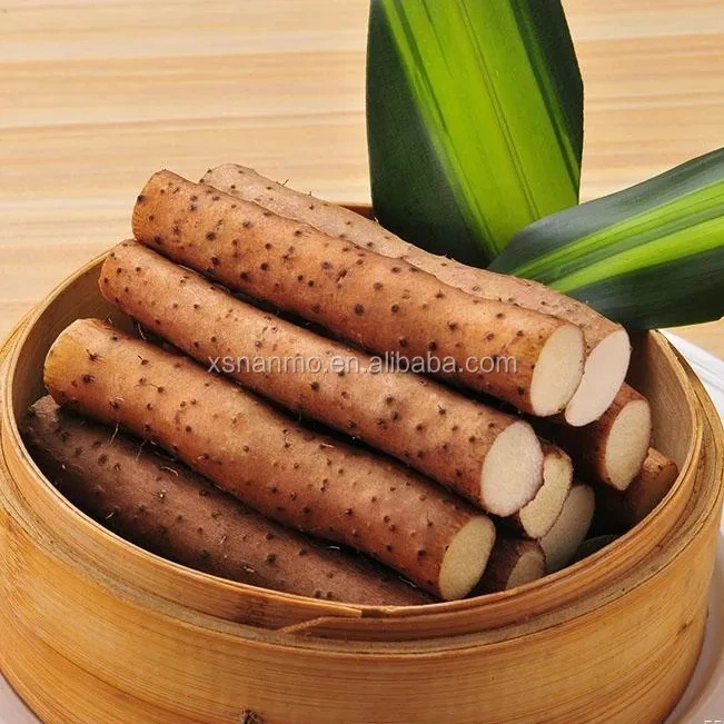 High quality/High cost performance  Natural Chinese Herbs Chinese Yarm Dioscorea Polystachya Turczaninow