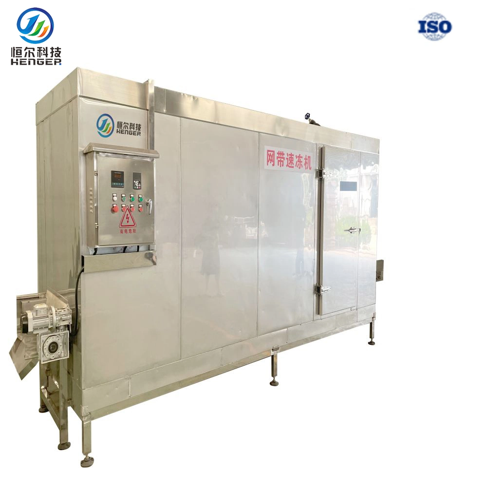 Quick Freezer Machine of Quick Freezer Machine for Food Commercial Industry