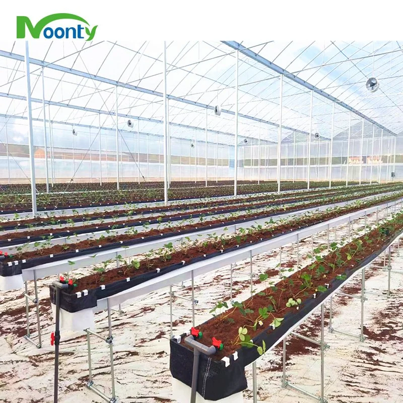 Tropical Sawtooth Roof Ventilation Greenhouse with Hydroponics System for Crops Growing