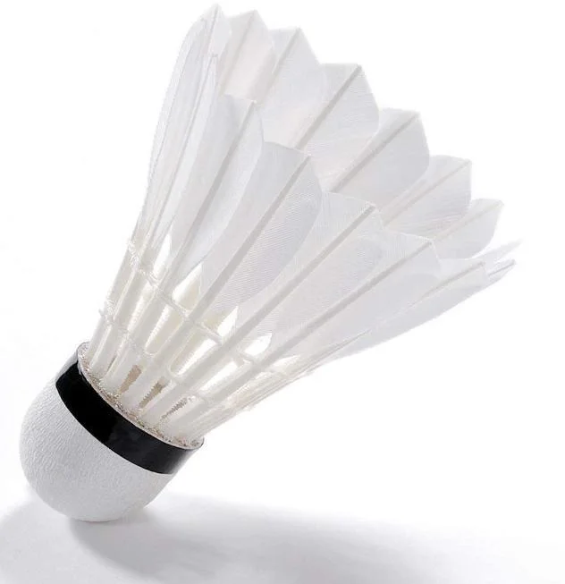 New Design Best Training Duck Feather Badminton Shuttlecock