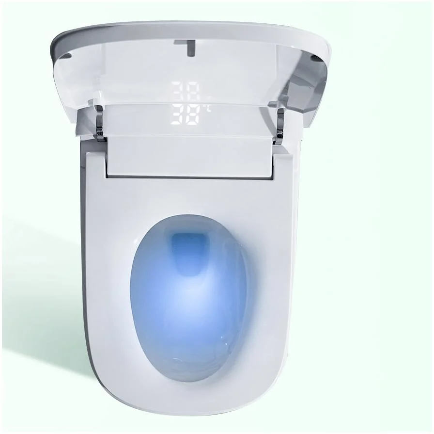 Ceramic Siphon One Piece Smart Toilet Bowl with Bidet