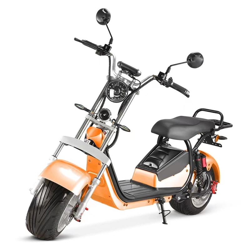 Best Quality and Best Price with EEC Certification Enough Powerful Electric Motorcycle 2000W Can Be Charged