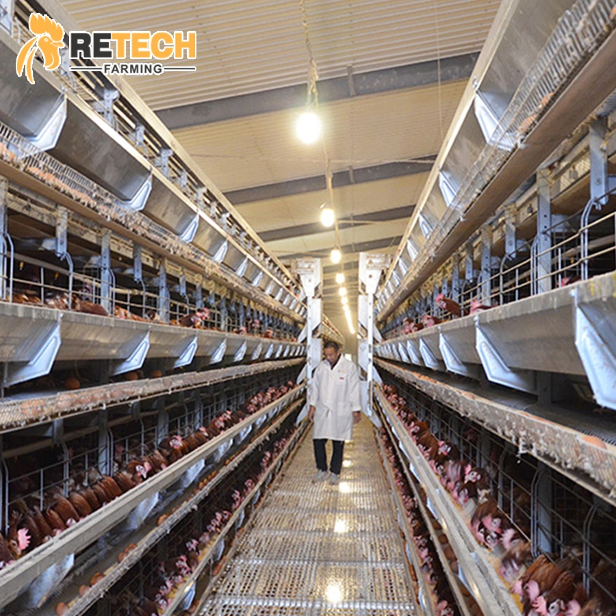 design laying hen battery H type chicken cages for sale