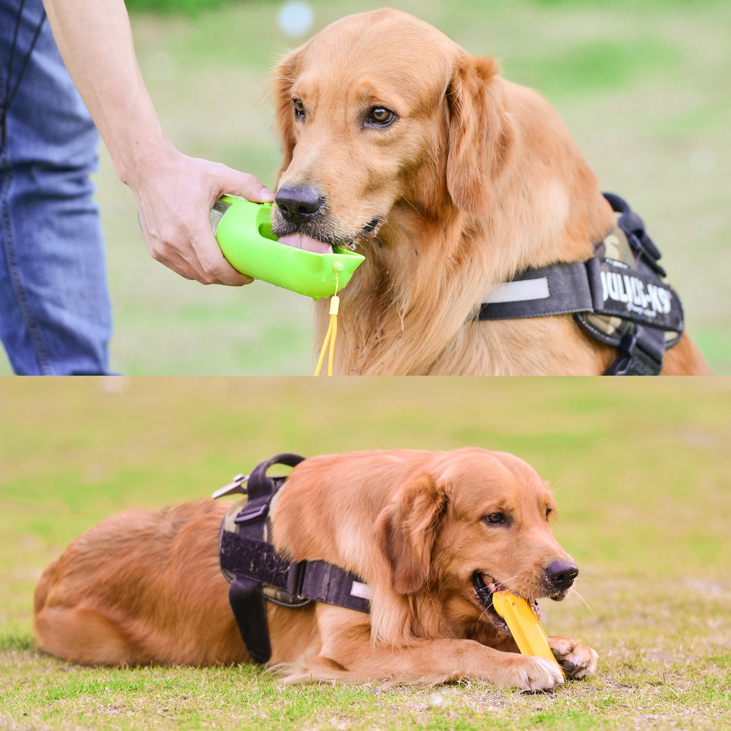 Wholesale/Supplier Portable Plastic Dog Cat Feed Drink Bowl Feeding Walking Water Bottle with Dog Bowl