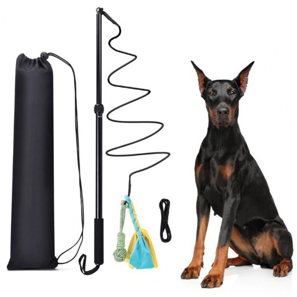 Extendable Dog Playing Interactive & Movement Pet Toys Pole