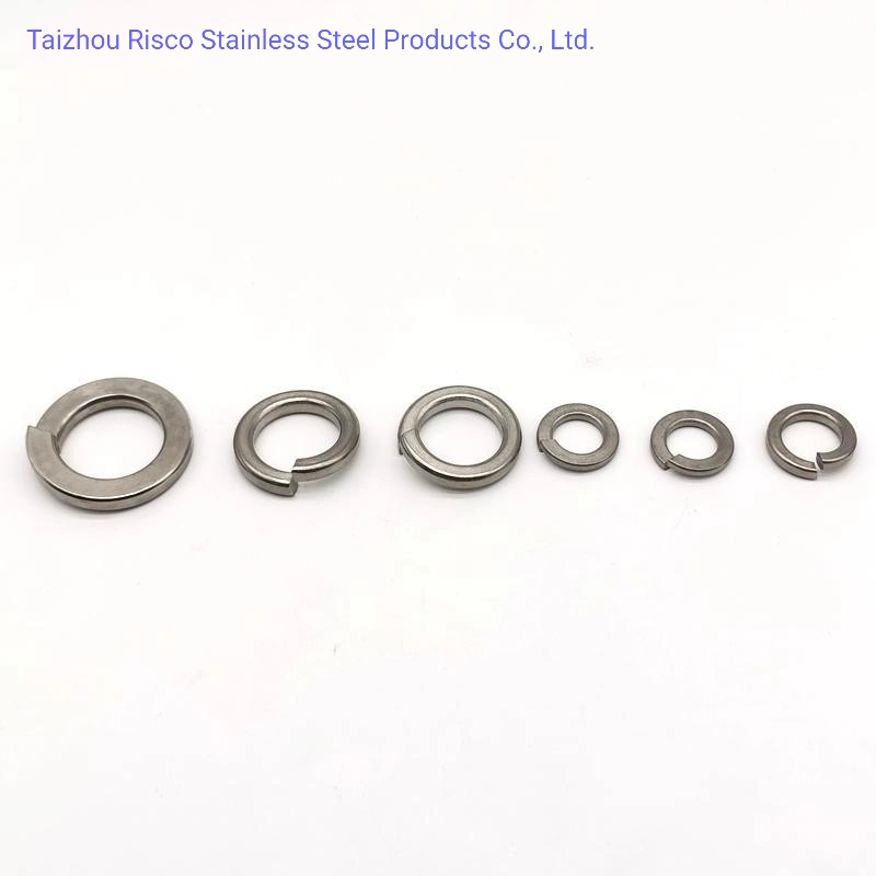 DIN125/127/9021 Stainless Steel SS304/316 High quality/High cost performance Fastener Spring Washer