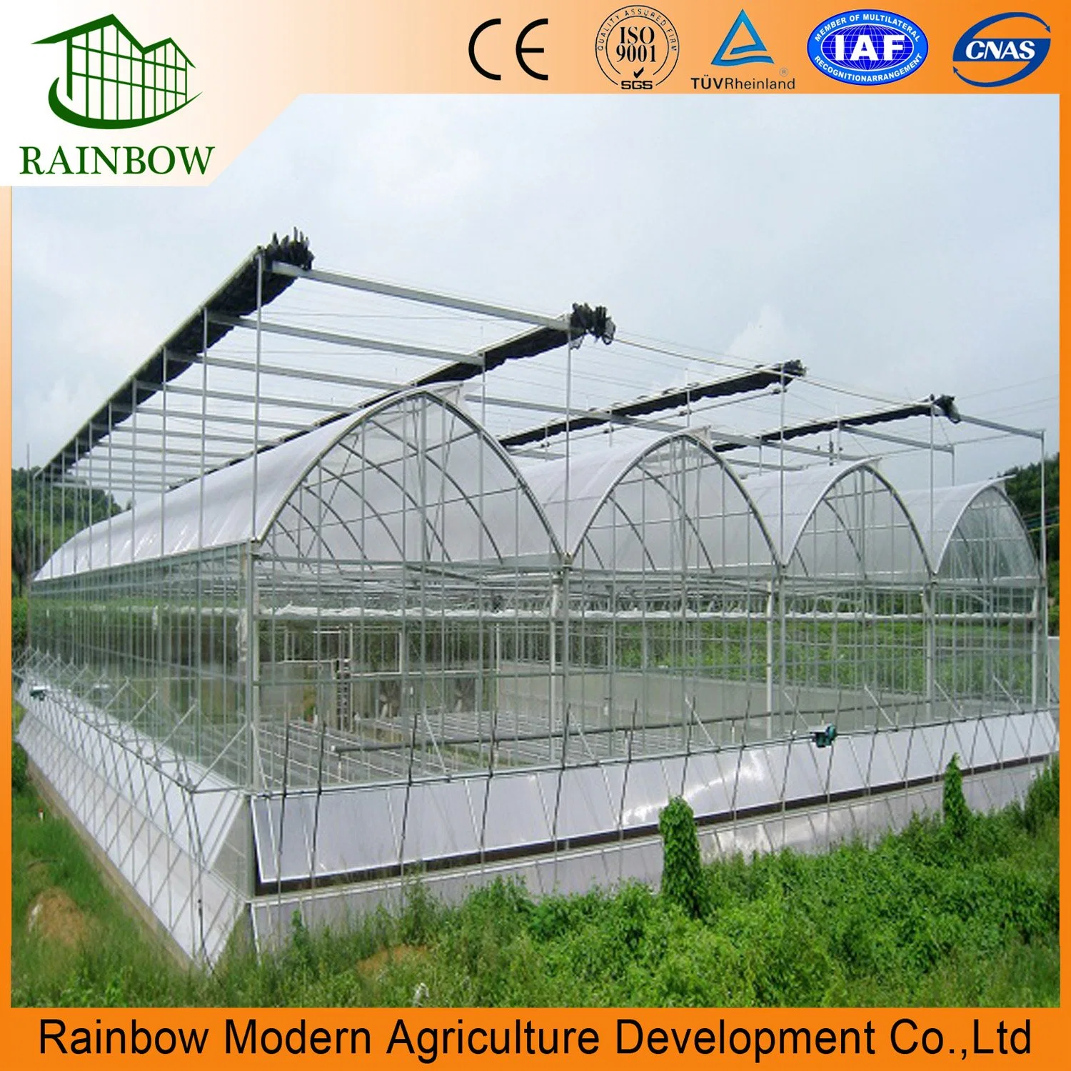 Arch Type Plastic Film Greenhouse with Dutch Bucket